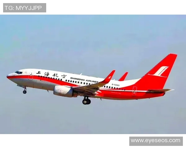 上海羽毛球队逆袭之旅揭秘从低谷到巅峰的奋斗历程与荣耀时刻 上海羽毛球队逆袭之旅揭秘从低谷到巅峰的奋斗历程与荣耀时刻