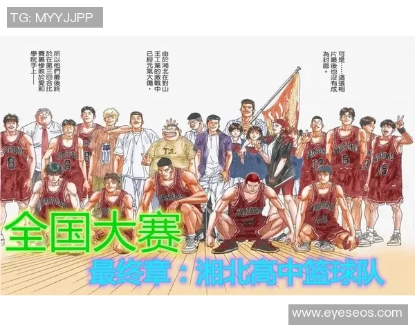 全国锦标赛分析南京篮球队意识表现与战术执行的深度解读