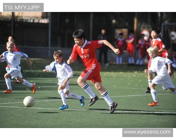 北京排球队防守革新之路探索与实践的深度分析与展望