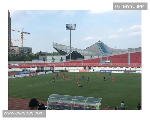 北京羽毛球队在城市联赛中的速度表现分析与点评