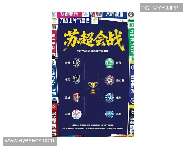 南京排球队在总决赛积分榜上以63分稳居第一名展现强劲实力