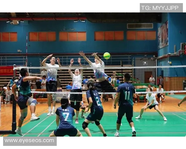 广州排球队的崛起与发展：探索排球运动的力量与魅力